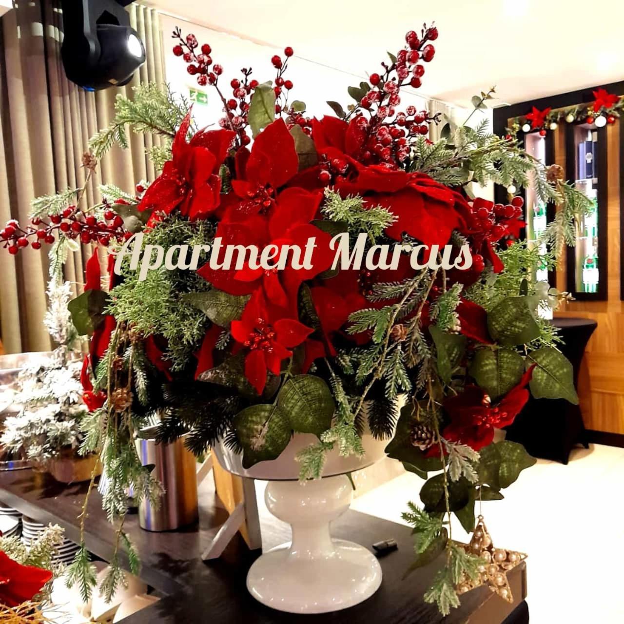 Apartments Marcus & Pascal ชิเบนิก ภายนอก รูปภาพ